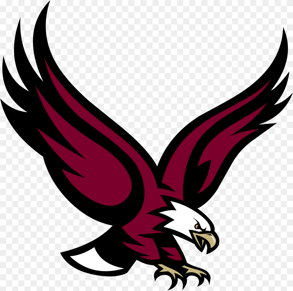 Eagles Logo Boston College Eagle, Electronics, Hardware, Animal, Fish Png Image