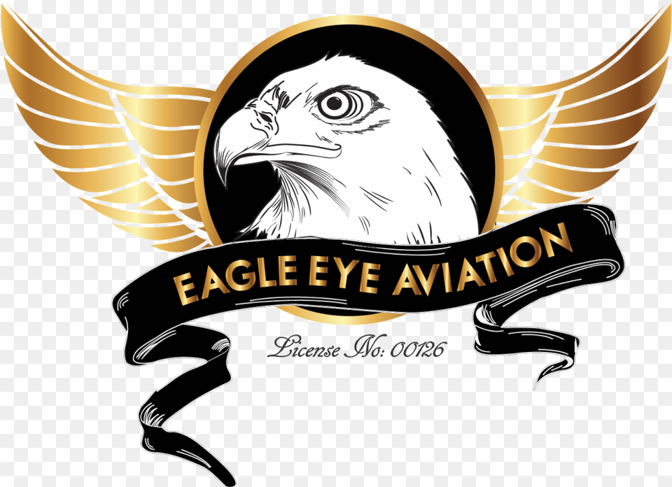 Eagles Logo Pictures Eagle Eye Logo, Animal, Bird, Person, Symbol Free Png Download