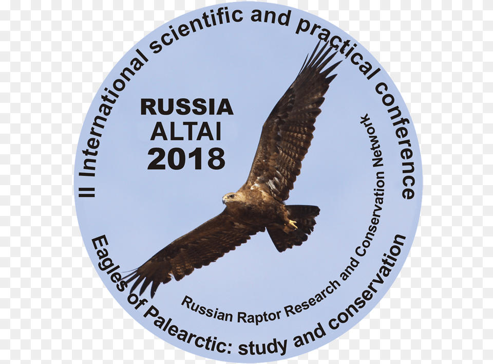Eagles Of Palearctic Buzzard, Animal, Bird, Hawk, Vulture Png Image