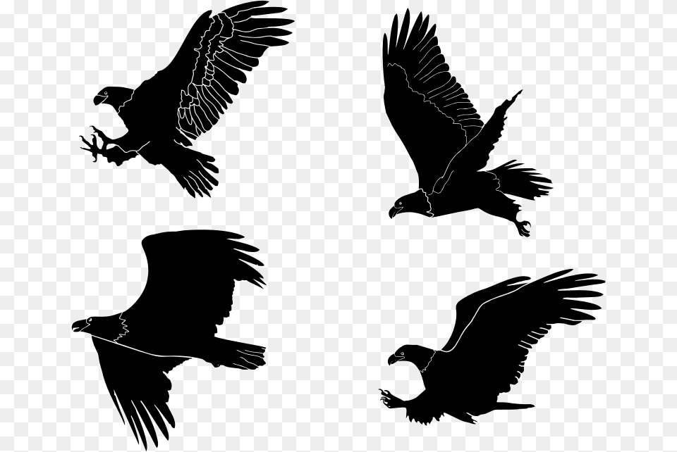 Eagles Silhouettes Set By Rajesh Misra Transparent Bald Eagle Silhouette, Gray Free Png Download