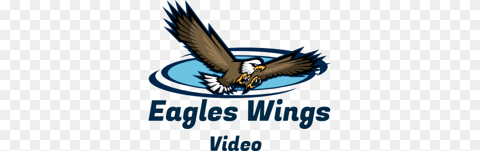 Eagles Wings Video, Animal, Bird, Eagle, Flying Free Png