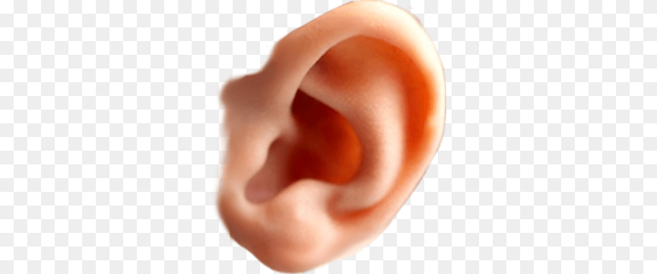 Ear, Body Part, Baby, Person, Food Free Png Download