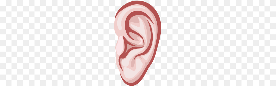 Ear, Body Part, Face, Head, Person Png