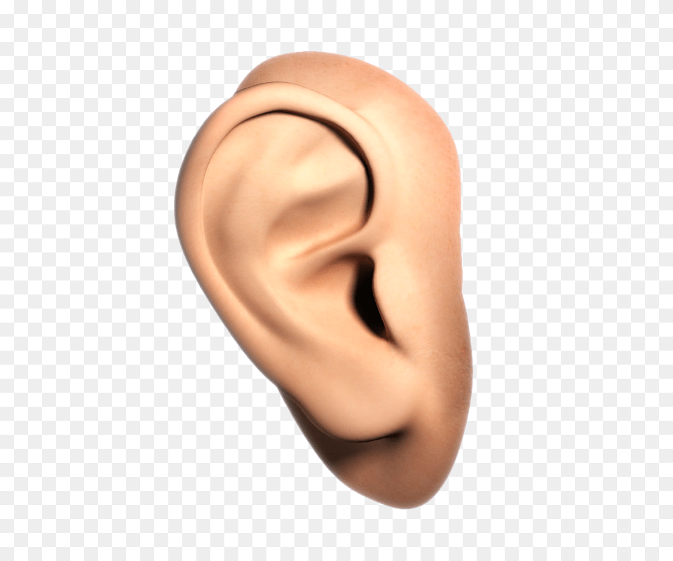 Ear, Body Part, Baby, Person, Face Free Png