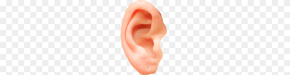 Ear, Body Part, Person Free Transparent Png
