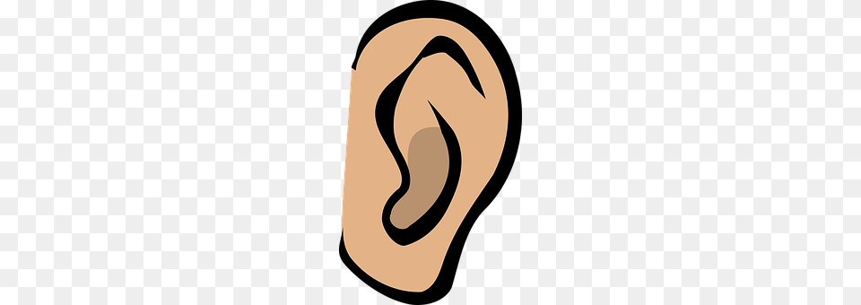 Ear Body Part Png