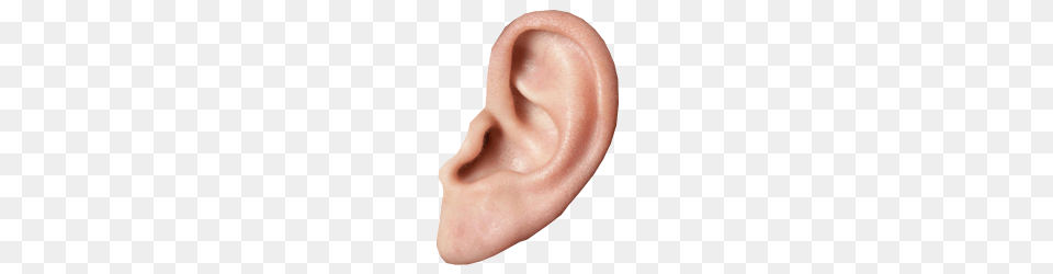 Ear, Body Part, Person Png Image