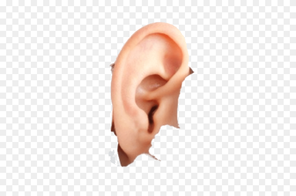 Ear, Body Part, Face, Head, Person Png
