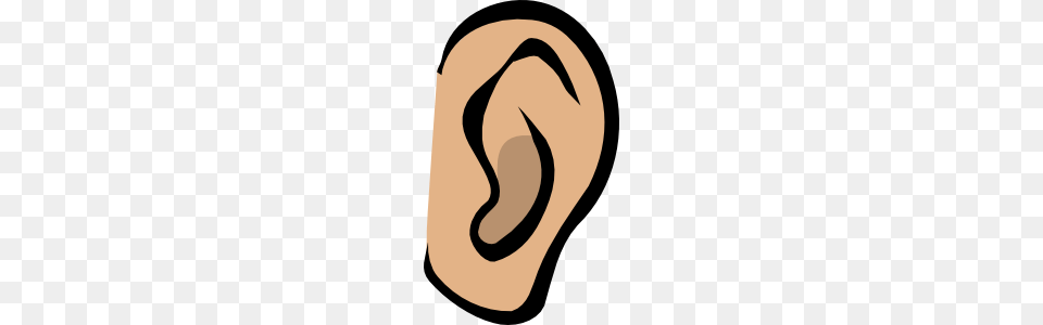 Ear, Body Part, Clothing, Hardhat, Helmet Free Png Download