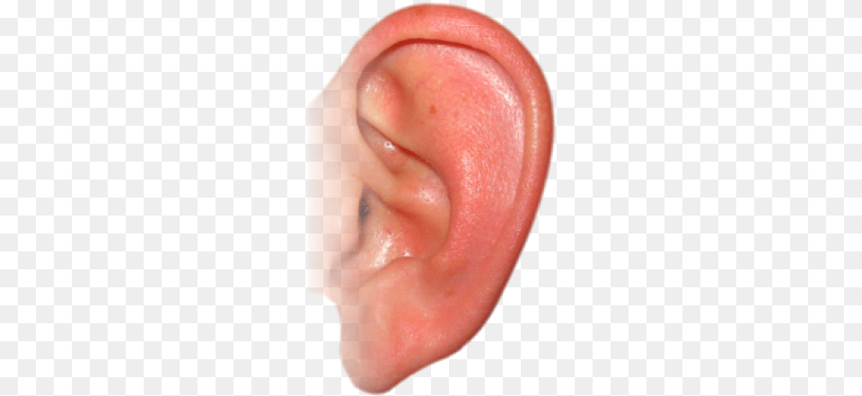 Ear, Body Part, Baby, Person Png Image