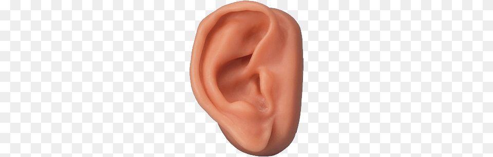 Ear, Body Part, Baby, Person Free Transparent Png