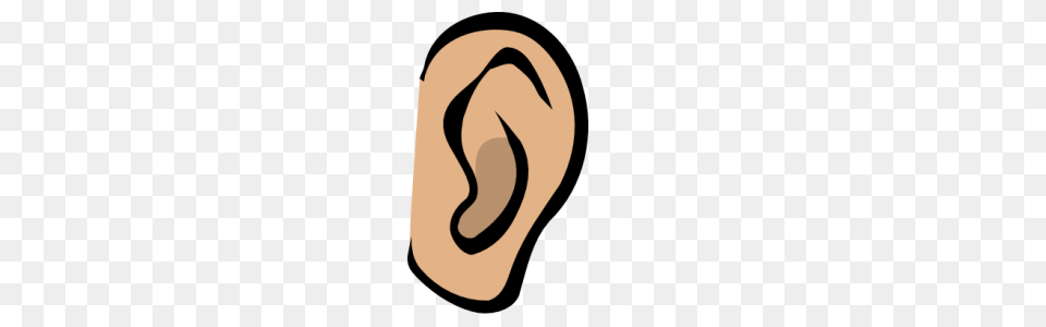 Ear, Body Part, Face, Head, Person Png