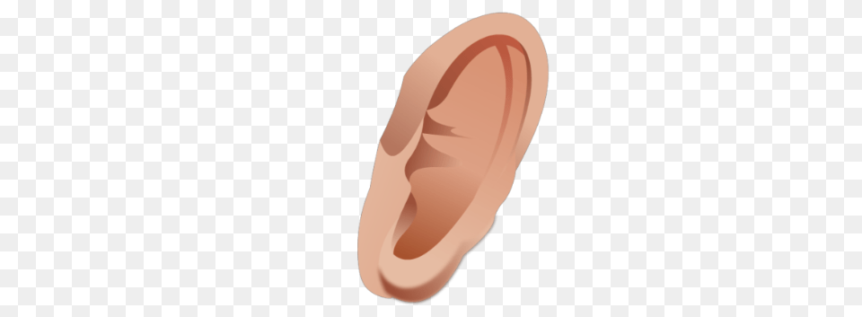 Ear, Body Part, Adult, Female, Person Free Png