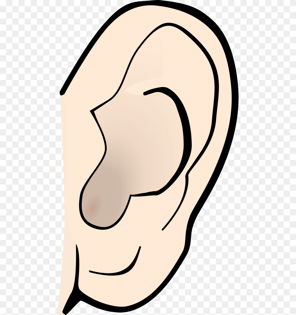 Ear Clip Art Clipart Collection, Body Part, Adult, Female, Person Free Png