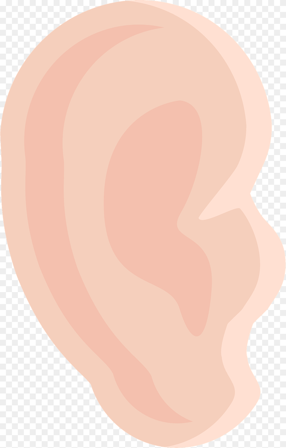 Ear Clipart, Body Part Free Transparent Png