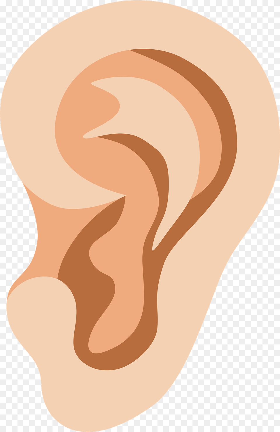 Ear Clipart, Body Part Png