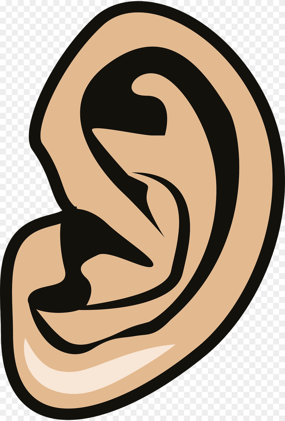 Ear Clipart, Body Part Free Transparent Png