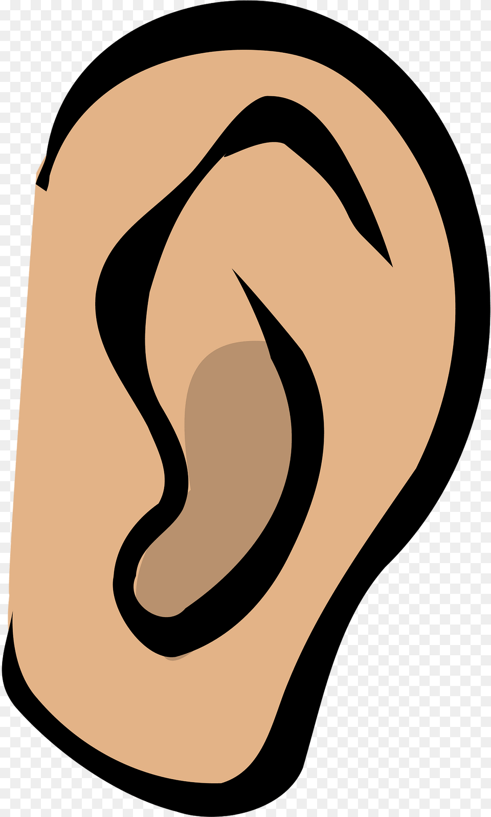 Ear Clipart, Body Part Free Png Download