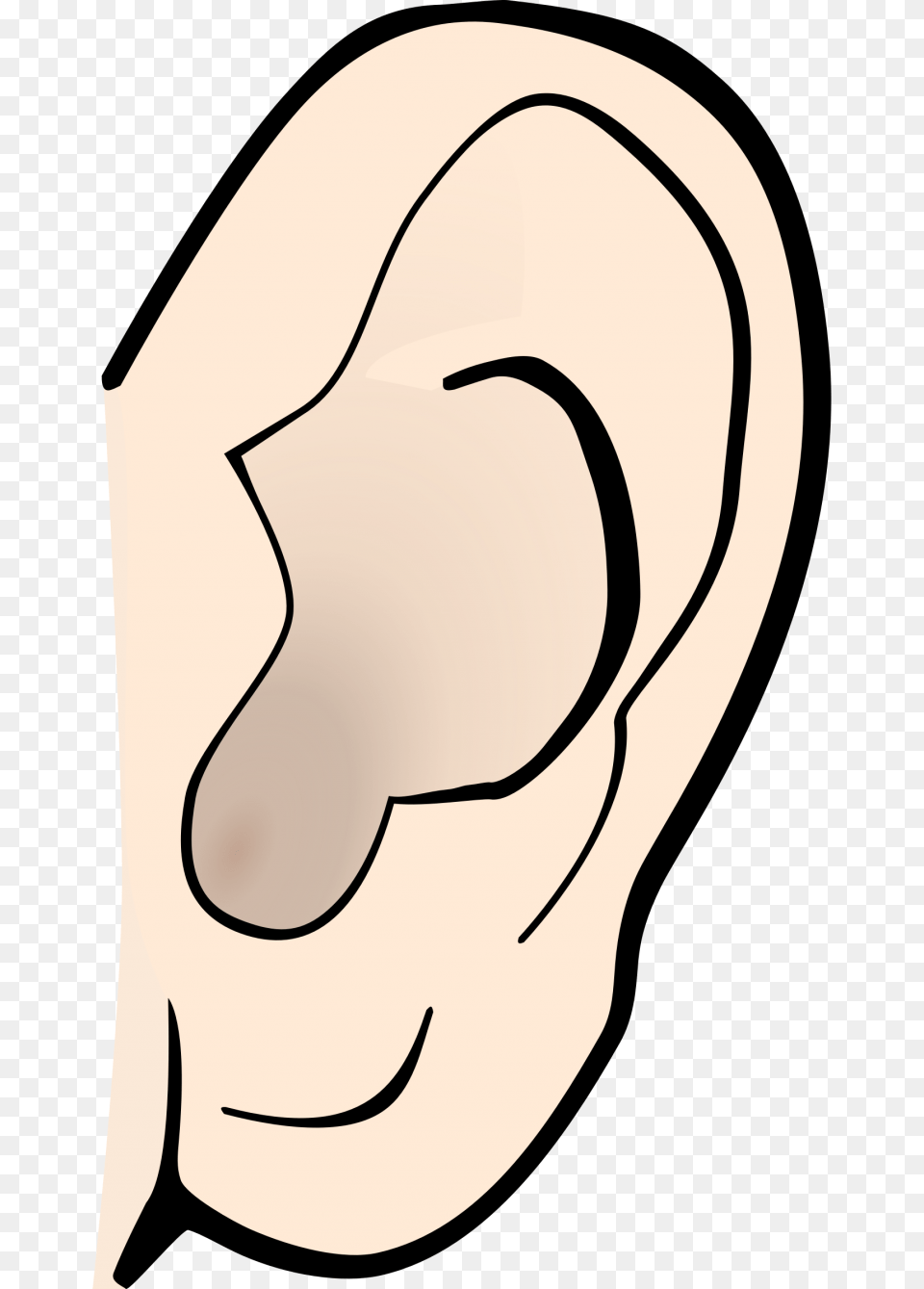 Ear Clipart Clip Art Borders Image, Body Part, Adult, Female, Person Free Png