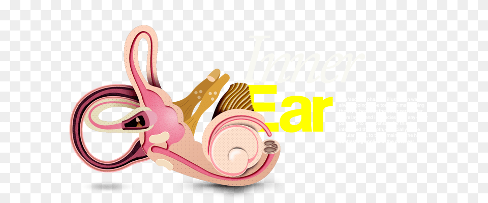 Ear Clipart Inner Ear, Advertisement, Poster, Clothing, Footwear Free Png