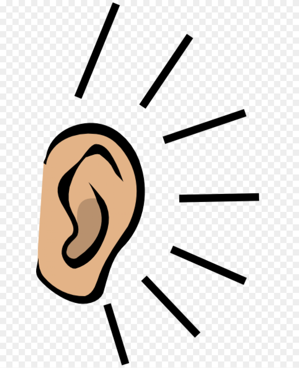 Ear Clipart Right, Body Part Free Png Download