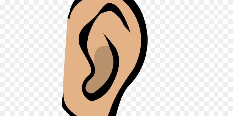 Ear Clipart Sense Hearing Clip Art Stock Illustrations, Body Part, Animal, Fish, Sea Life Free Png Download