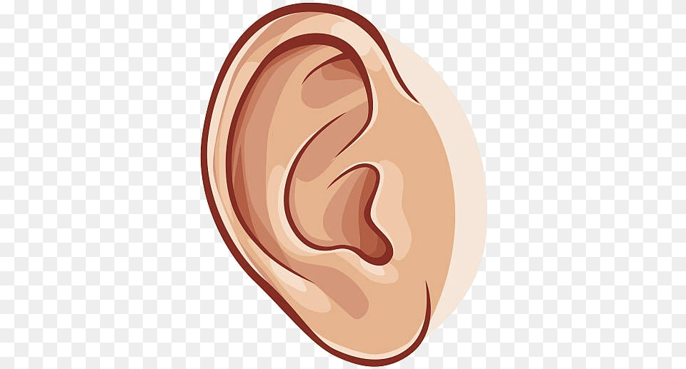Ear Collection Of Images High Quality Awesome Clip Art Of Ear, Body Part, Disk Png Image