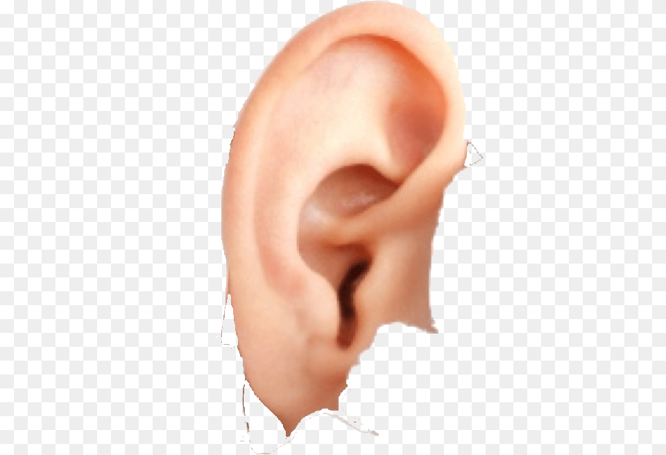 Ear Ear, Body Part, Person Free Png Download