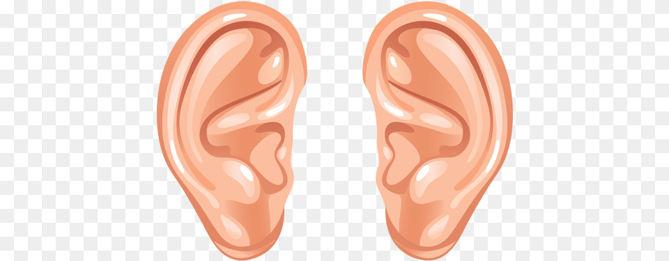 Ear Human Ear Ear Clip Art, Body Part, Face, Head, Person Free Png Download