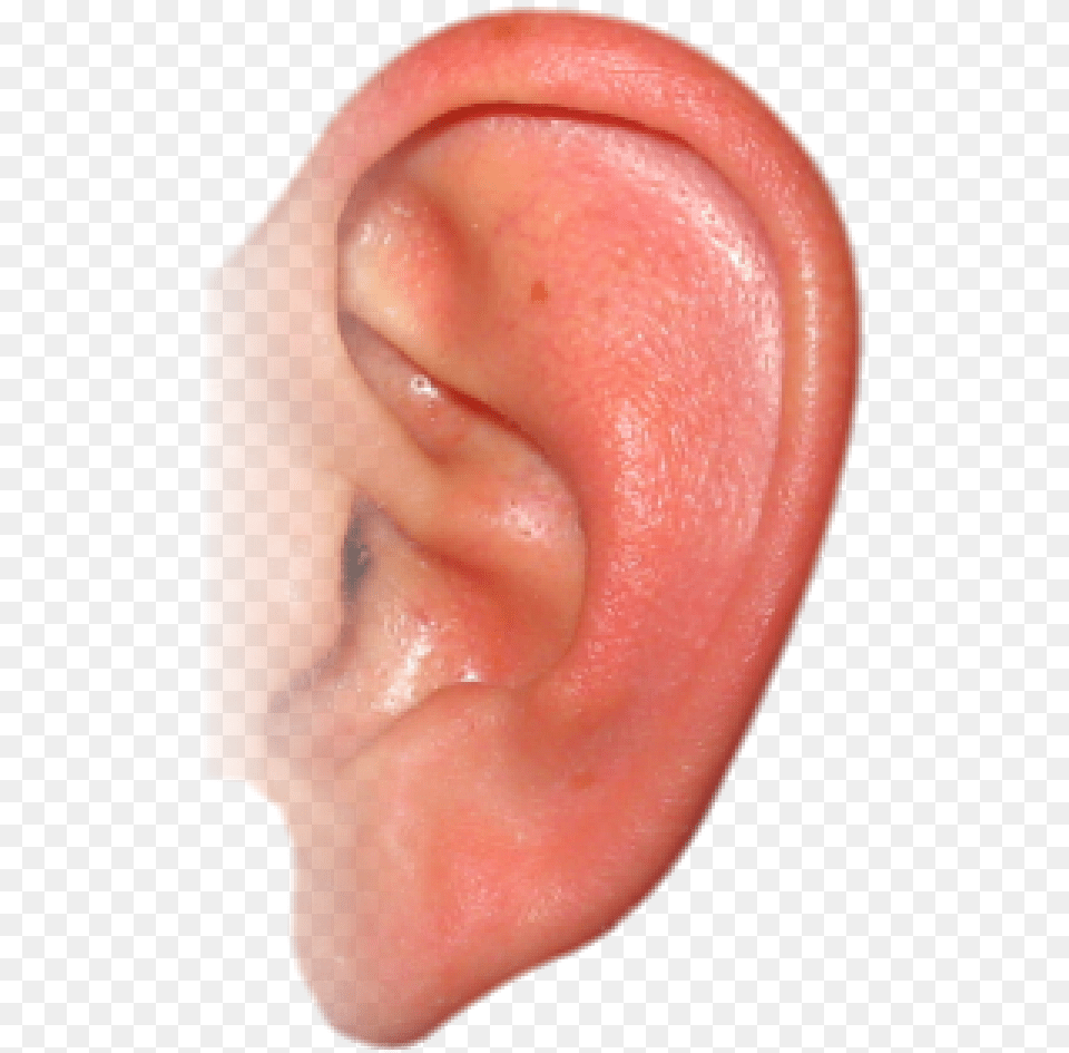 Ear Ear, Body Part, Baby, Person Free Png