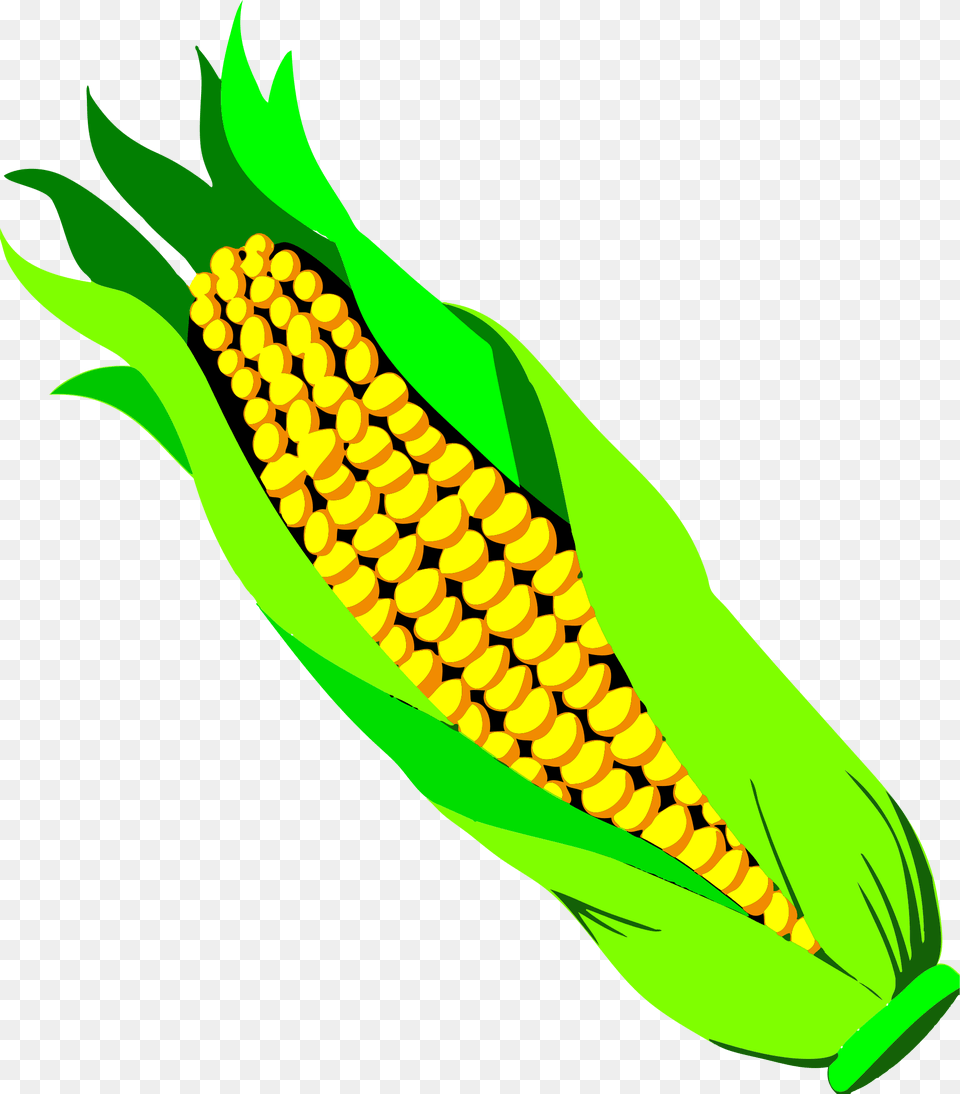 Ear Of Corn, Food, Grain, Plant, Produce Png