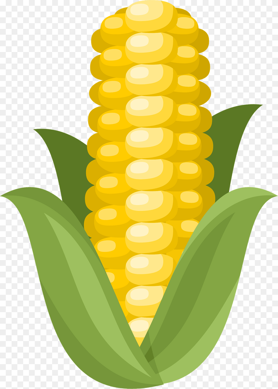 Ear Of Corn Clipart, Food, Grain, Plant, Produce Png