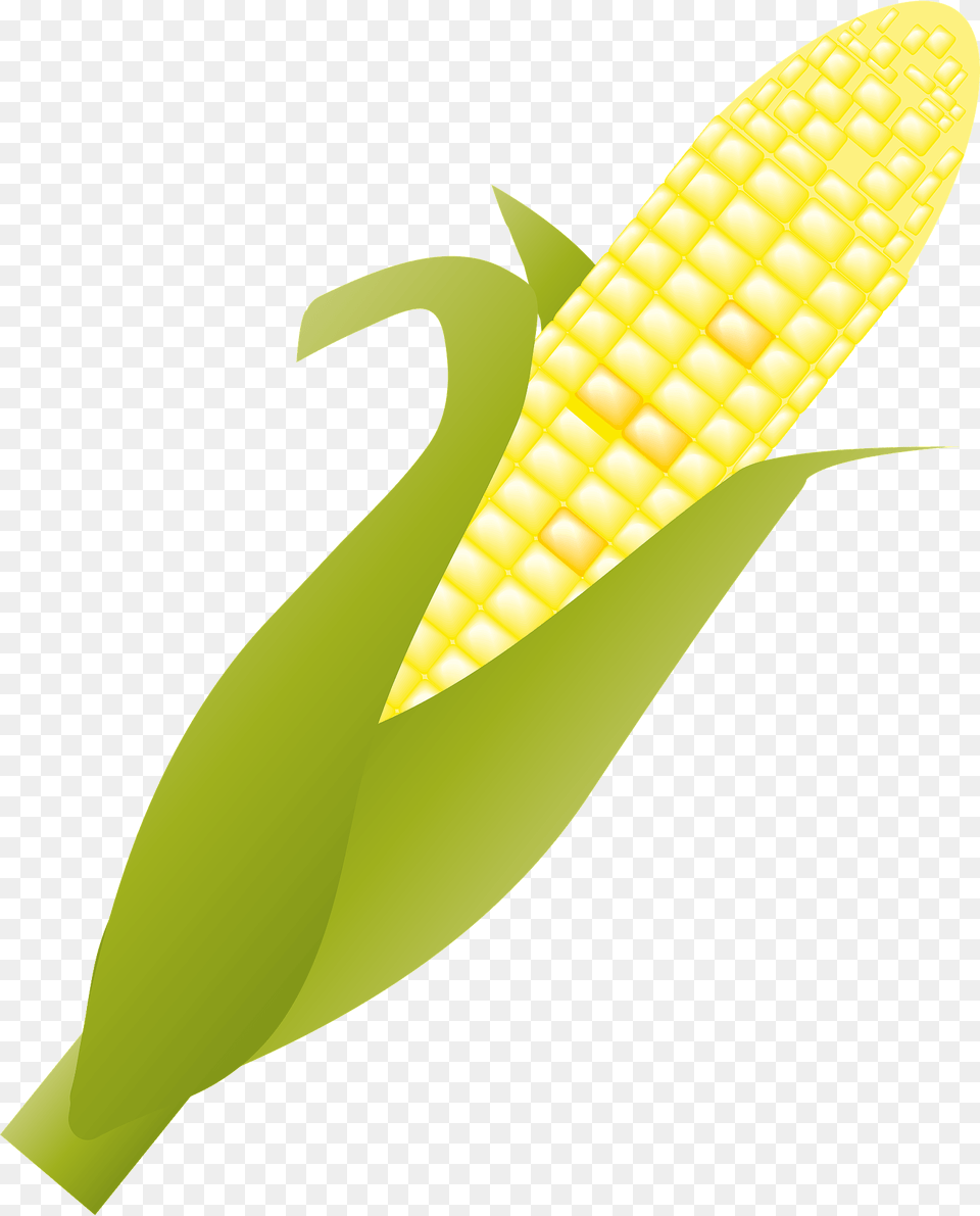 Ear Of Corn Clipart, Food, Grain, Plant, Produce Free Png