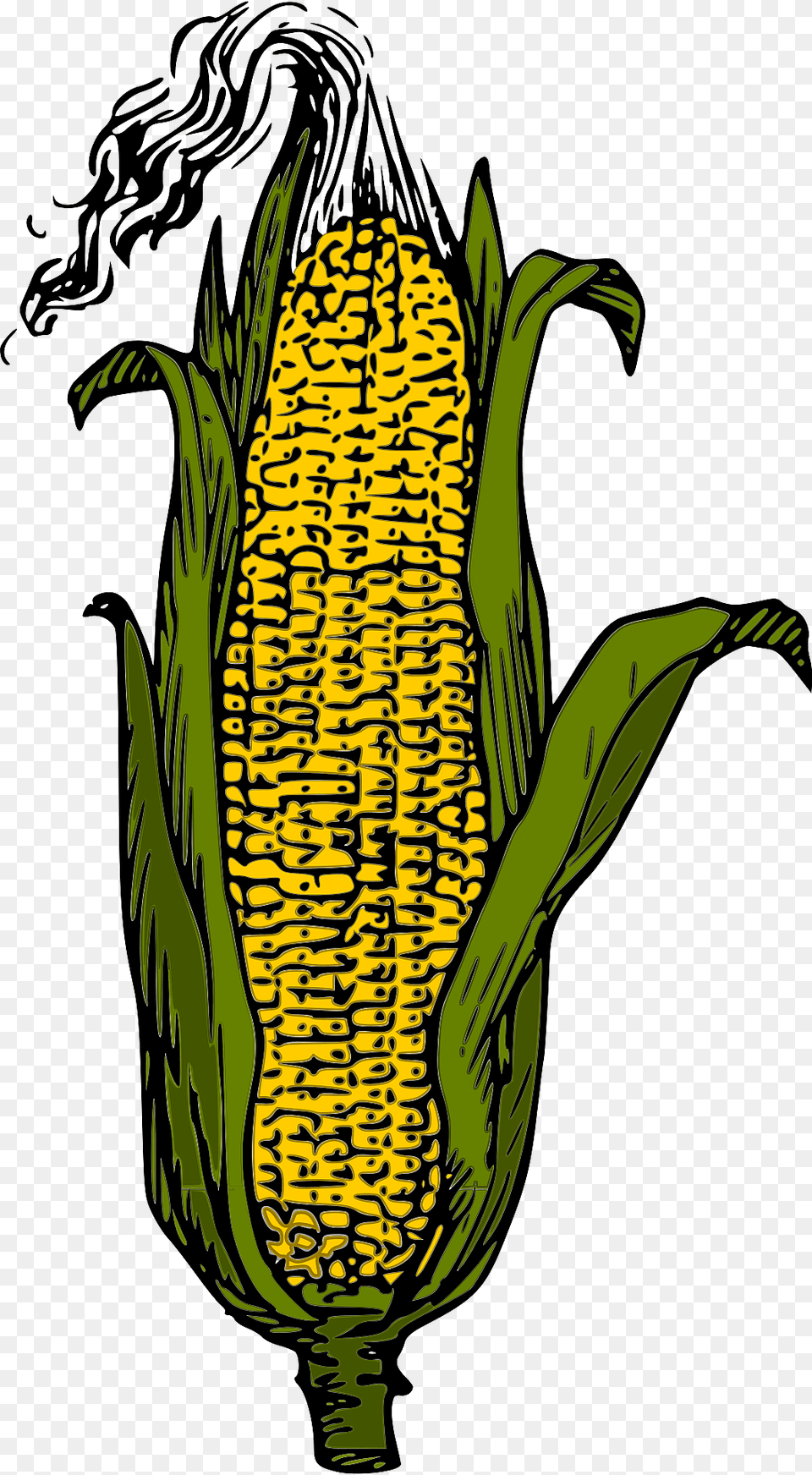 Ear Of Corn In The Shuck Clipart, Food, Grain, Plant, Produce Png