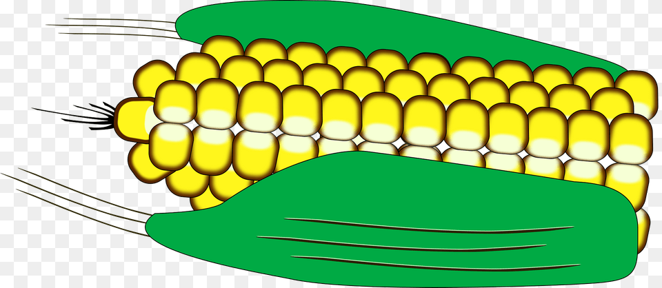 Ear Of Corn In The Shuck Clipart, Food, Grain, Plant, Produce Png