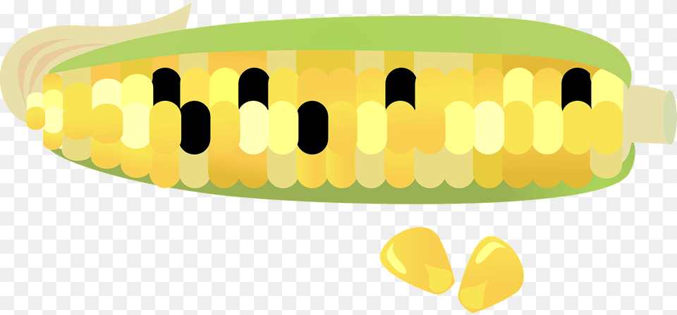 Ear Of Multi Colored Corn Clipart, Food, Grain, Plant, Produce Free Png