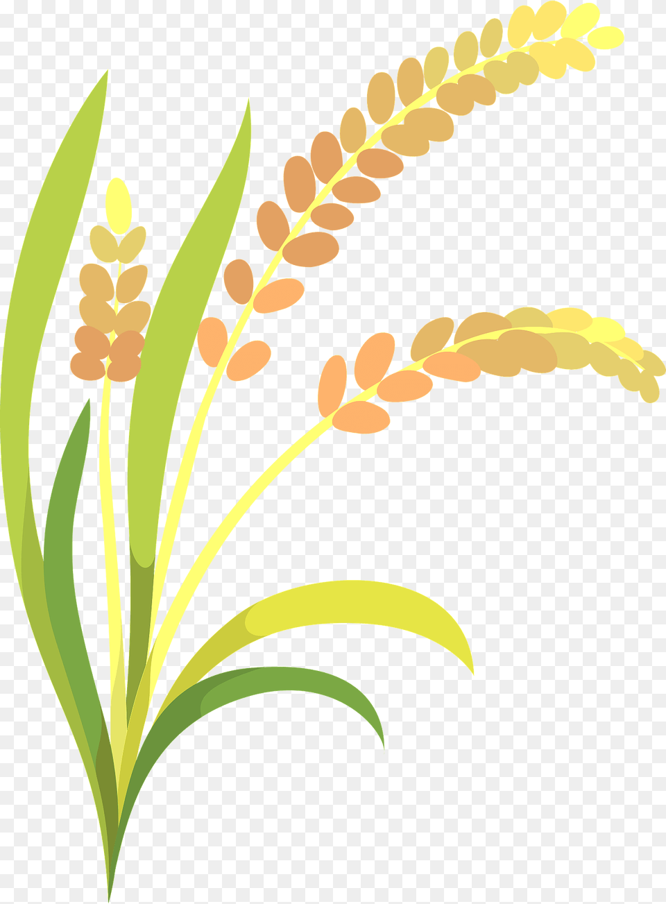 Ear Of Rice Clipart, Art, Floral Design, Graphics, Pattern Free Png Download
