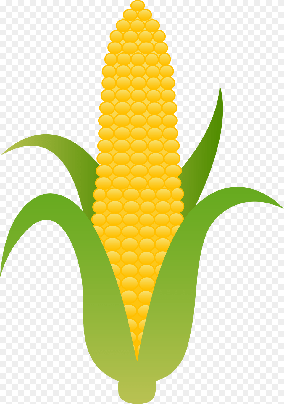 Ear Of Yellow Corn, Food, Grain, Plant, Produce Free Png Download