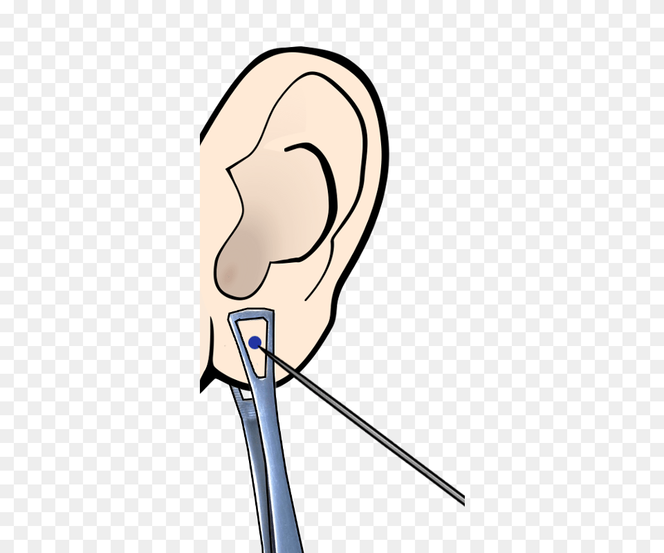 Ear Piercing Clipart, Body Part, Adult, Female, Person Png Image