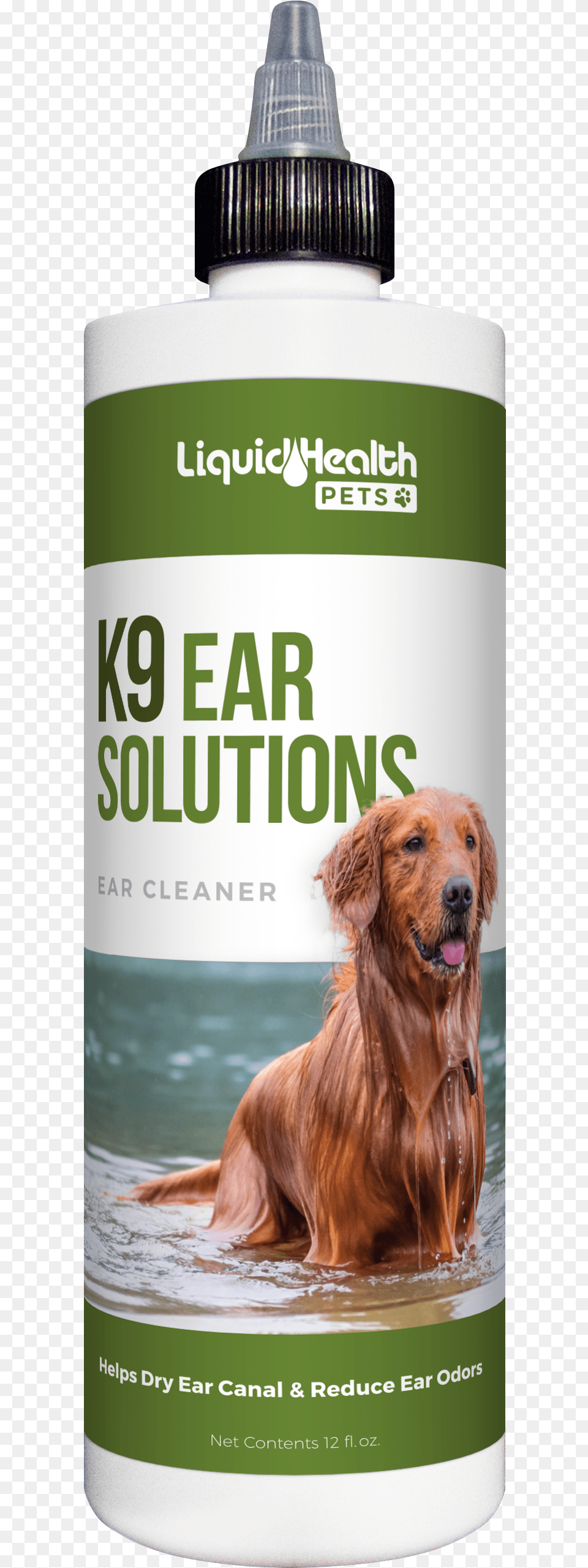 Ear Solutions Motion, Animal, Pet, Canine, Dog Png Image