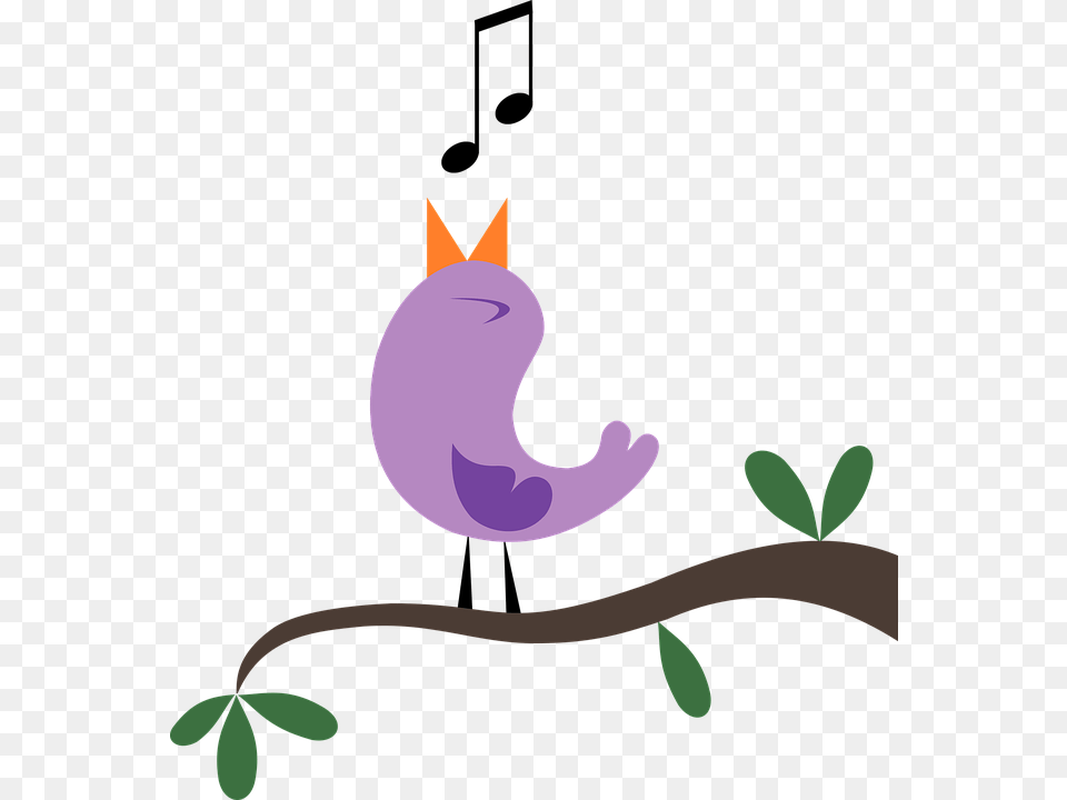 Earbird, Flower, Plant, Purple, Nature Png Image