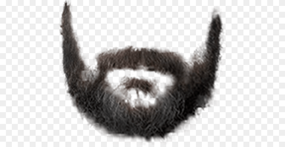 Eard Beard Styles For Photoshop Picsart Best Black Beard, Face, Head, Person, Mustache Free Transparent Png