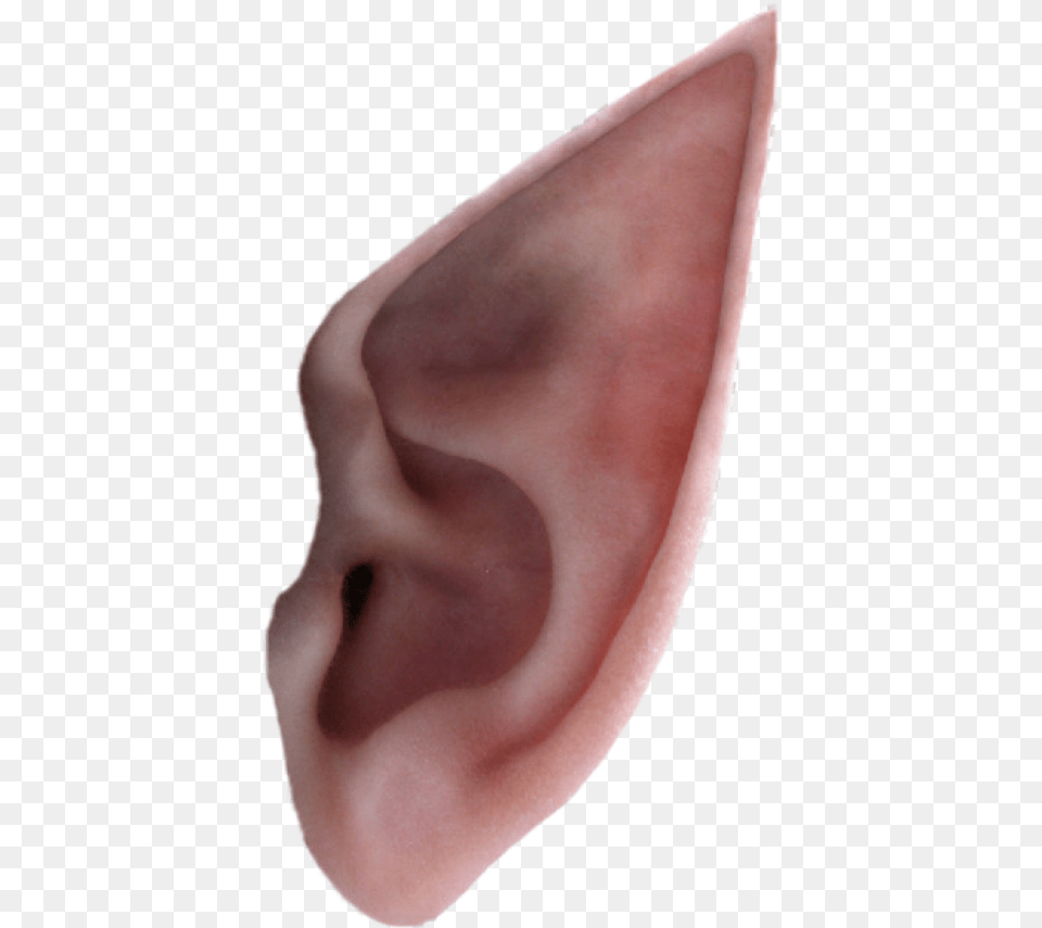 Earelf Transparent Elf Ear, Body Part, Baby, Person Png