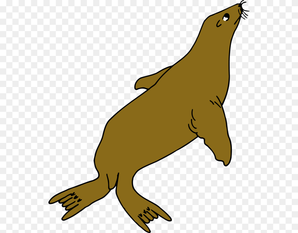 Earless Seal Sea Lion Walrus Computer Icons Drawing Free, Animal, Mammal, Sea Life, Sea Lion Png Image