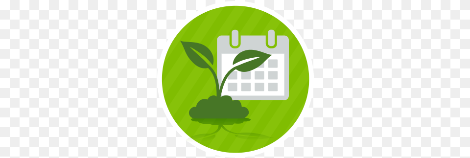 Earlier Seeding Icon, Green, Herbal, Herbs, Leaf Png