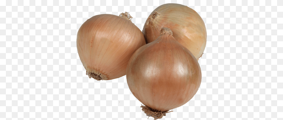 Early Slug Onion Cebolla Babosa, Food, Produce, Plant, Vegetable Png Image