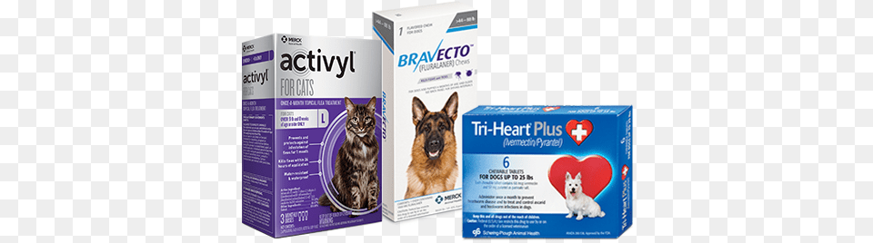 Earn Cash Back With Mypet Rewards When Protecting Your Bravecto Flea And Tick Chew For Large Dog 20, Animal, Canine, Mammal, Pet Png