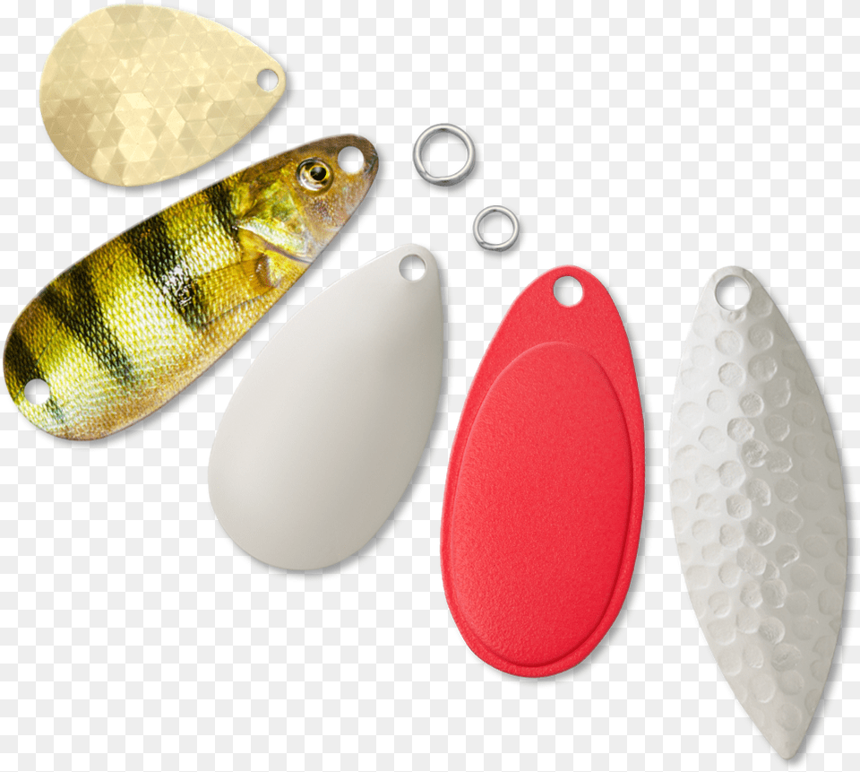 Earrings, Animal, Fish, Sea Life Png Image
