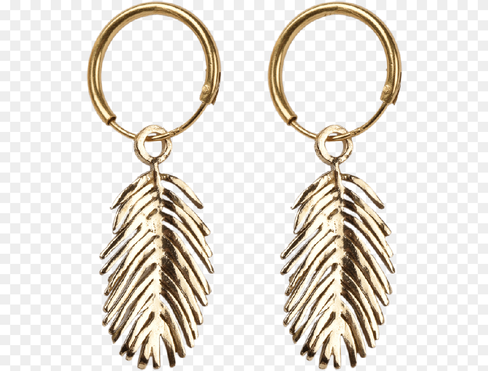 Earrings, Accessories, Earring, Jewelry Png Image