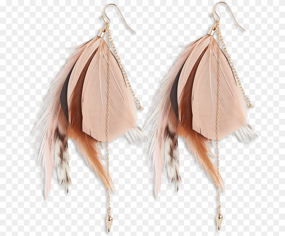 Earrings, Accessories, Earring, Jewelry Free Png